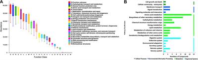 Gut Microbiota and Related Metabolites Were Disturbed in Ulcerative Colitis and Partly Restored After Mesalamine Treatment